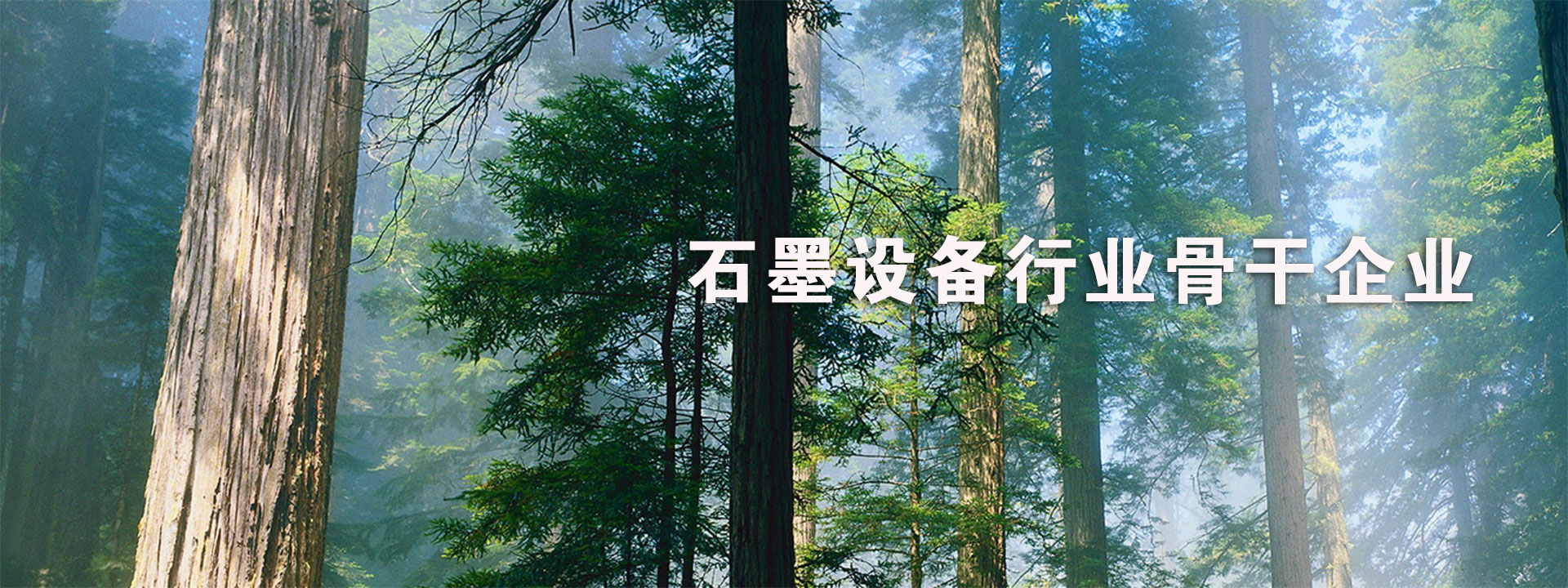 標(biāo)題1